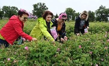 29-31 MAYIS 2026 ISPARTA GÜLLER ZAMANI TURU 1.ARAÇ