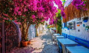 21 MART 2026  URLA - ÇEŞME –ALAÇATI -SIĞACIK TURU