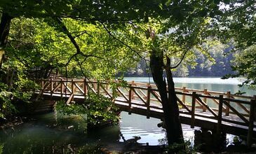 27-29 MART 2026 ABANT&YEDİGÖLLER&GÖLCÜK&ORMANYA&MAŞUKİYE&BURSA TURA