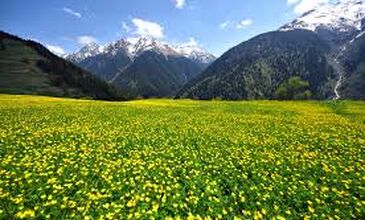 BAMBAŞKA KARADENİZ YAYLALARI TURU