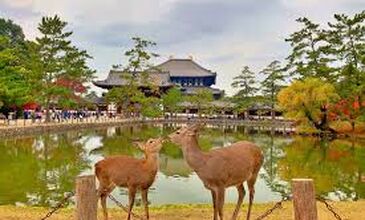 04-16 NİSAN 2027 SAKURA ZAMANI JAPONYA-GÜNEY KORE TURU