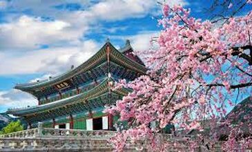  BÜYÜK JAPONYA+ SEUL TURU